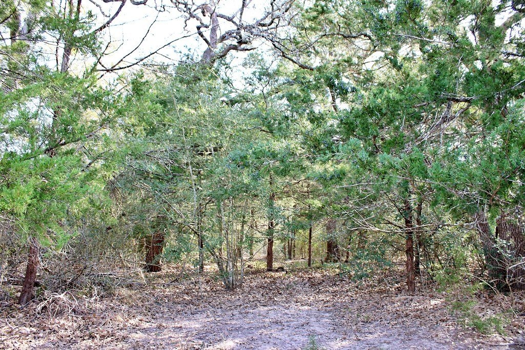 Picture 8