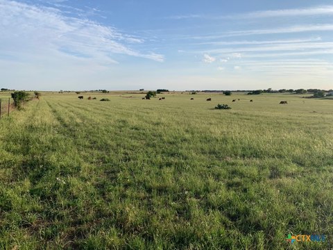 10 Acres in Salado, TX