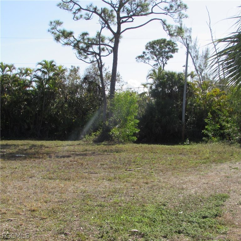 Picture 19