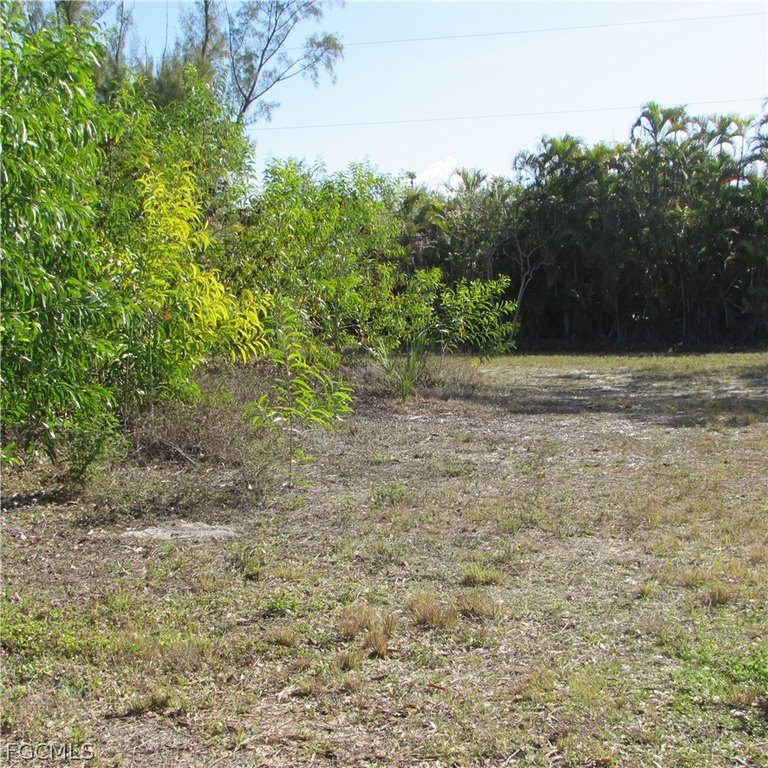 Picture 20