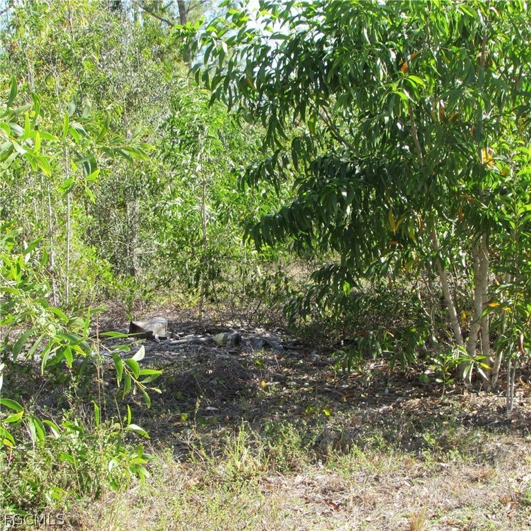 Picture 6