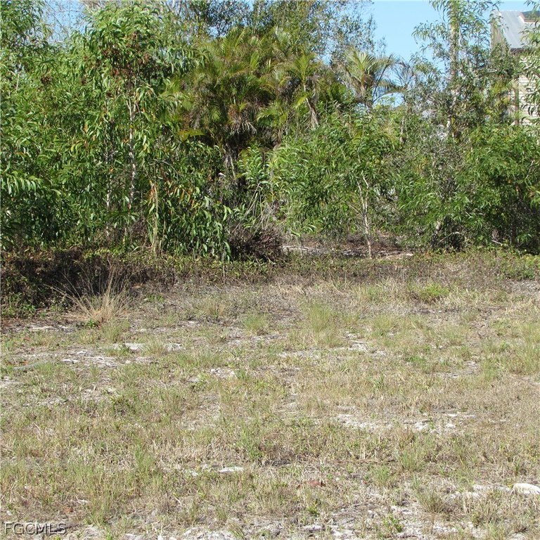 Picture 8