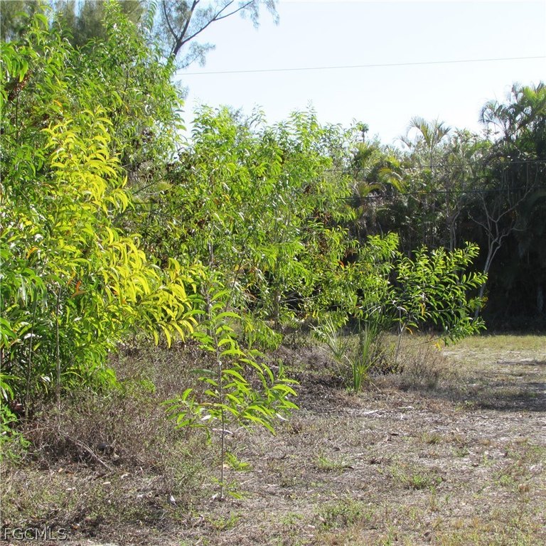 Picture 7