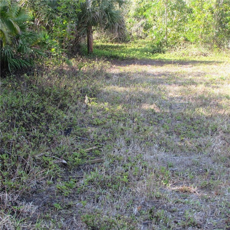 Picture 11