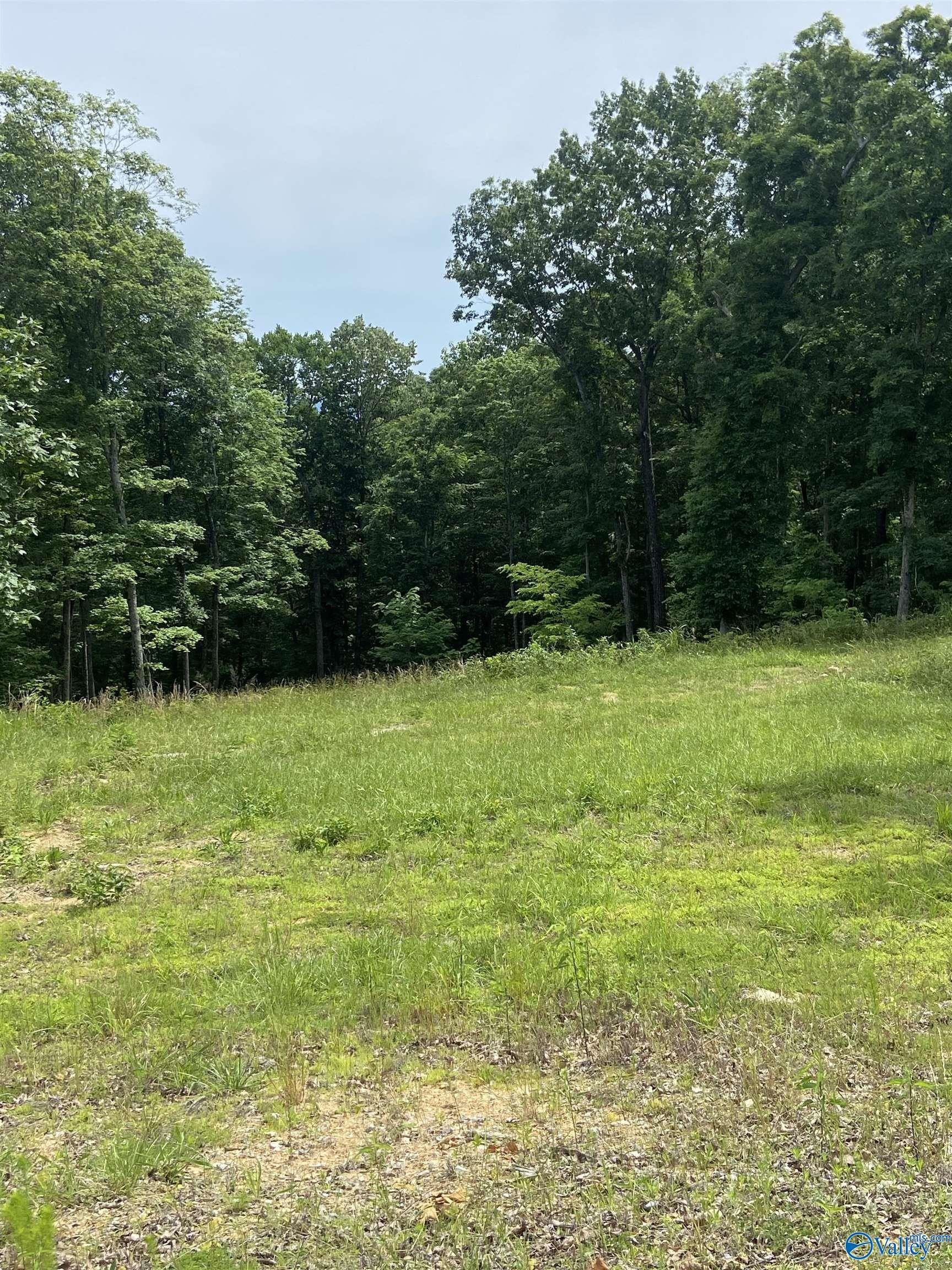 8-Acre Homesite in McMullen Cove