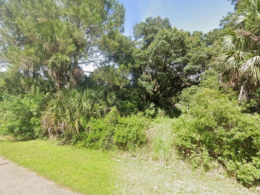 Picture 2