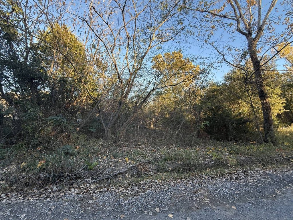 Picture 2