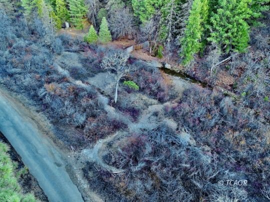 Secluded Land Parcel in Trinity