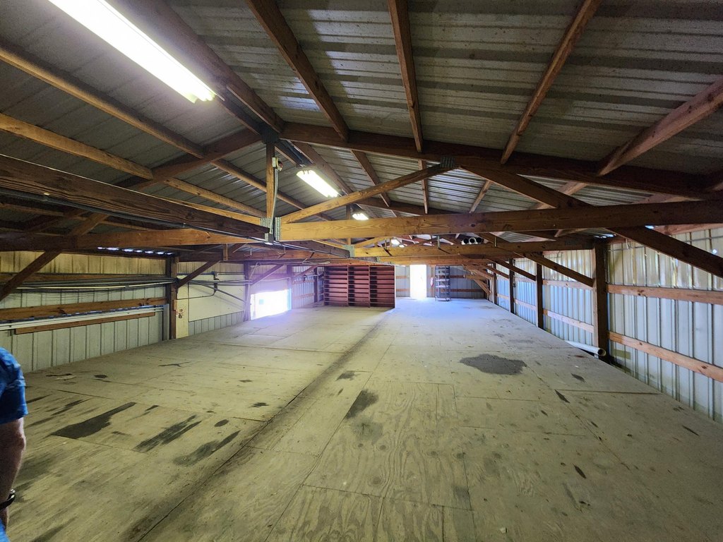 Picture 15