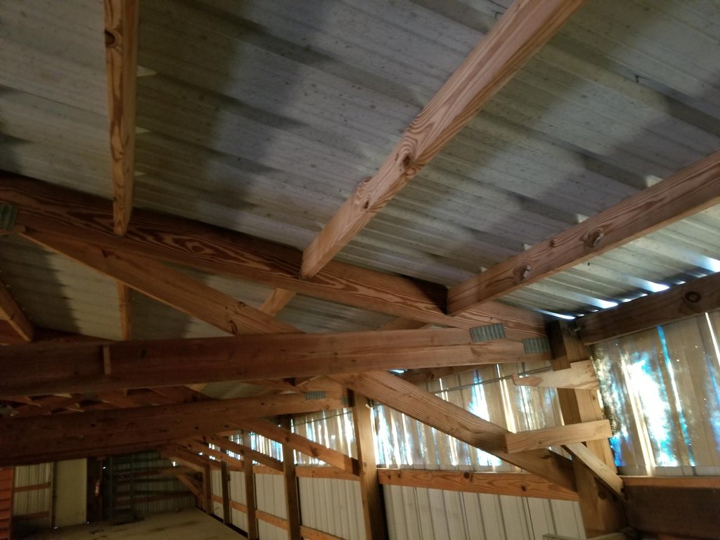 Picture 5