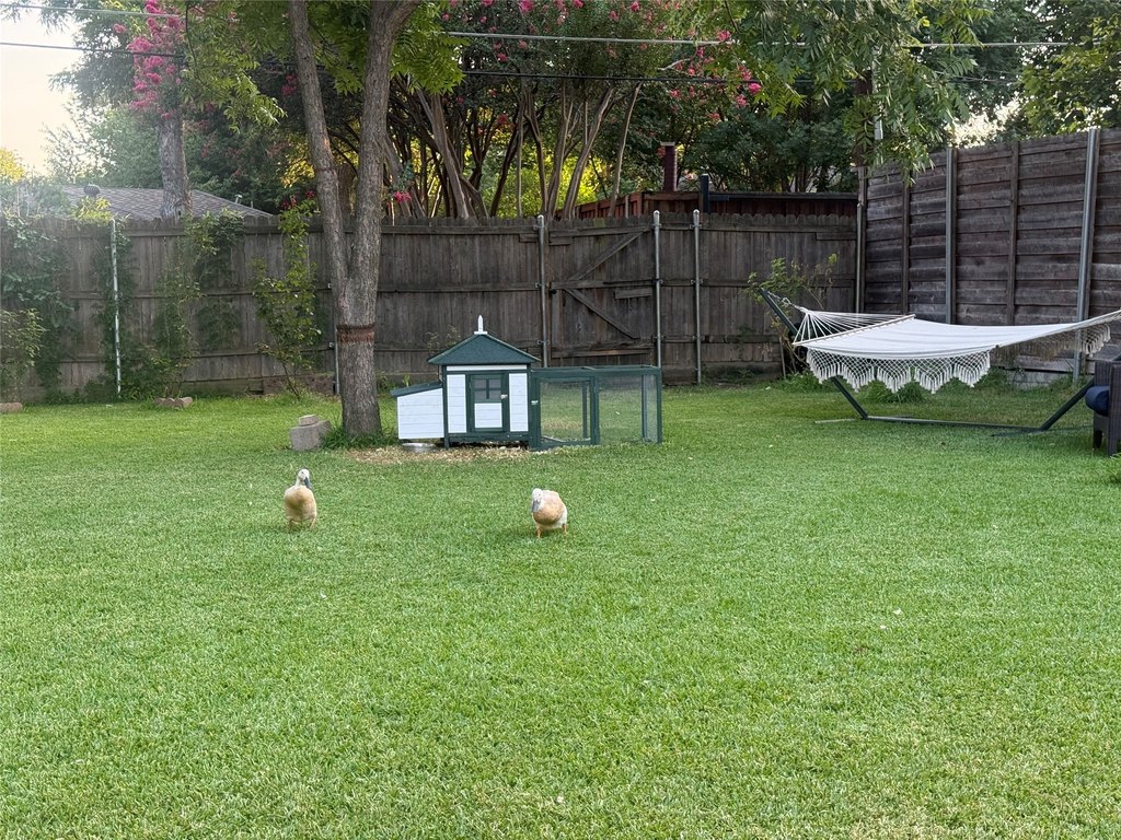 Picture 5
