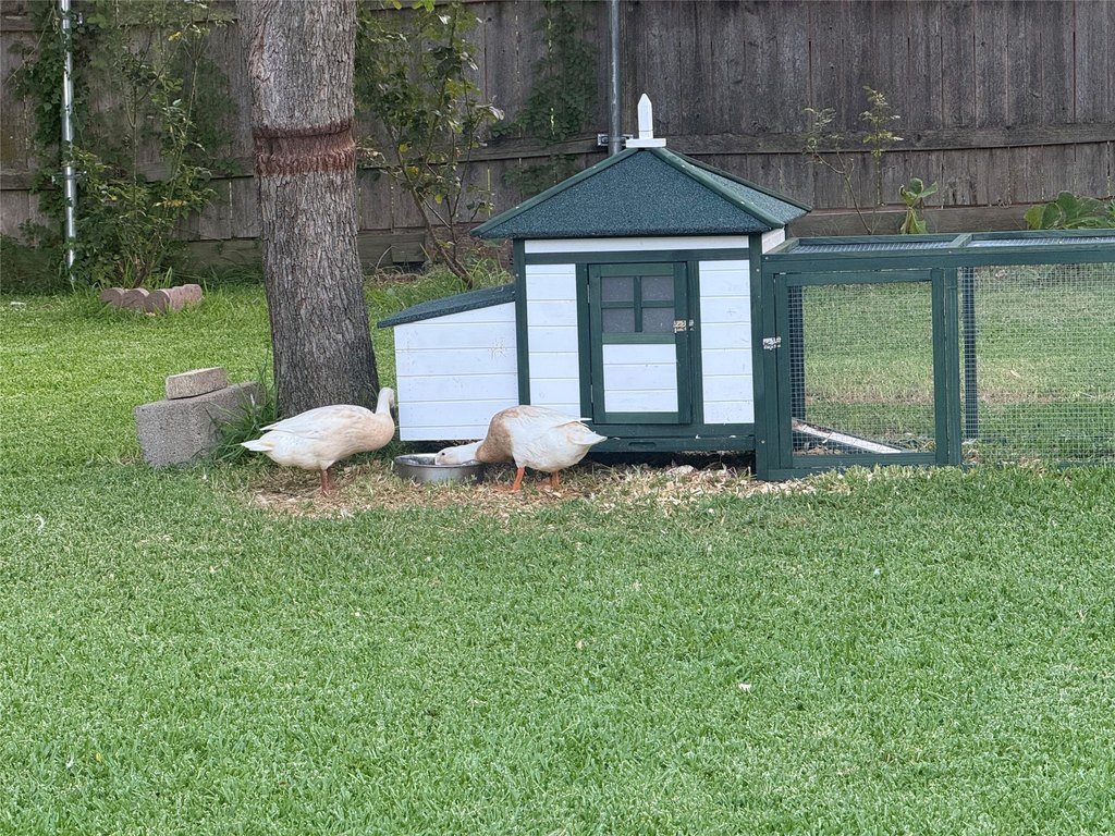 Picture 4