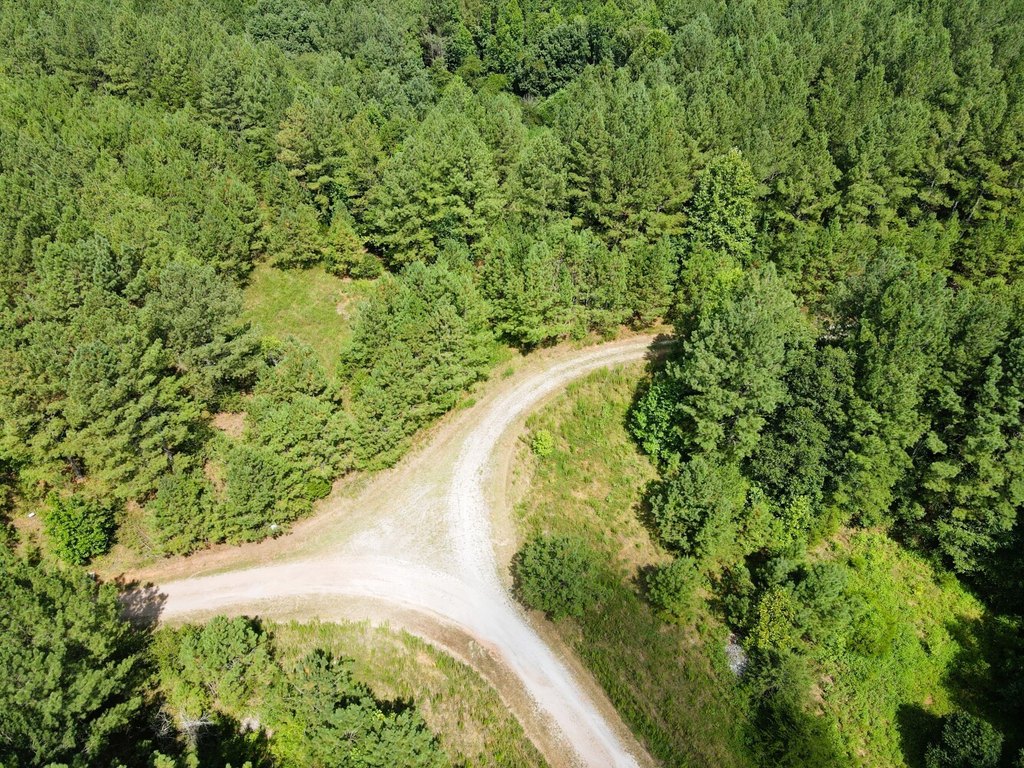 Picture 23