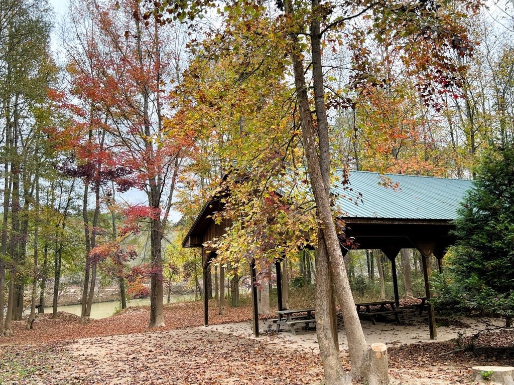 Picture 33