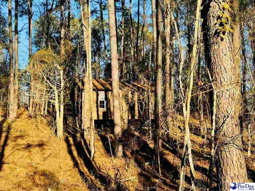 Picture 23