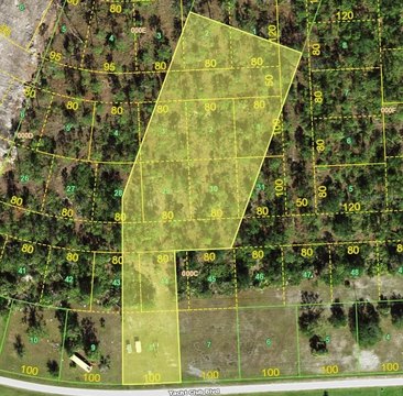 PUNTA GORDA Land Opportunity