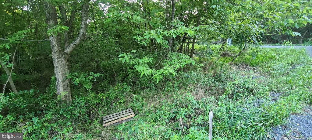 Picture 13