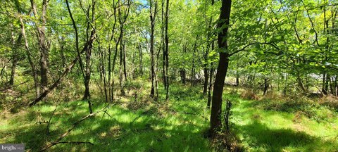 LAND - MIDDLETOWN, VA