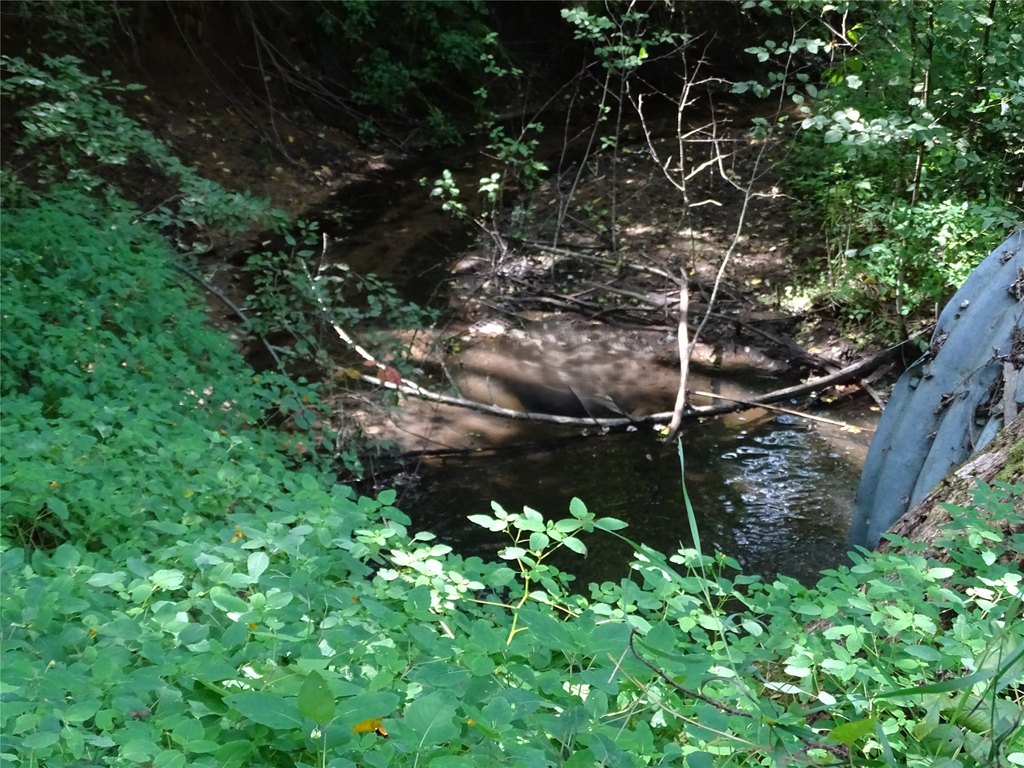 Picture 7