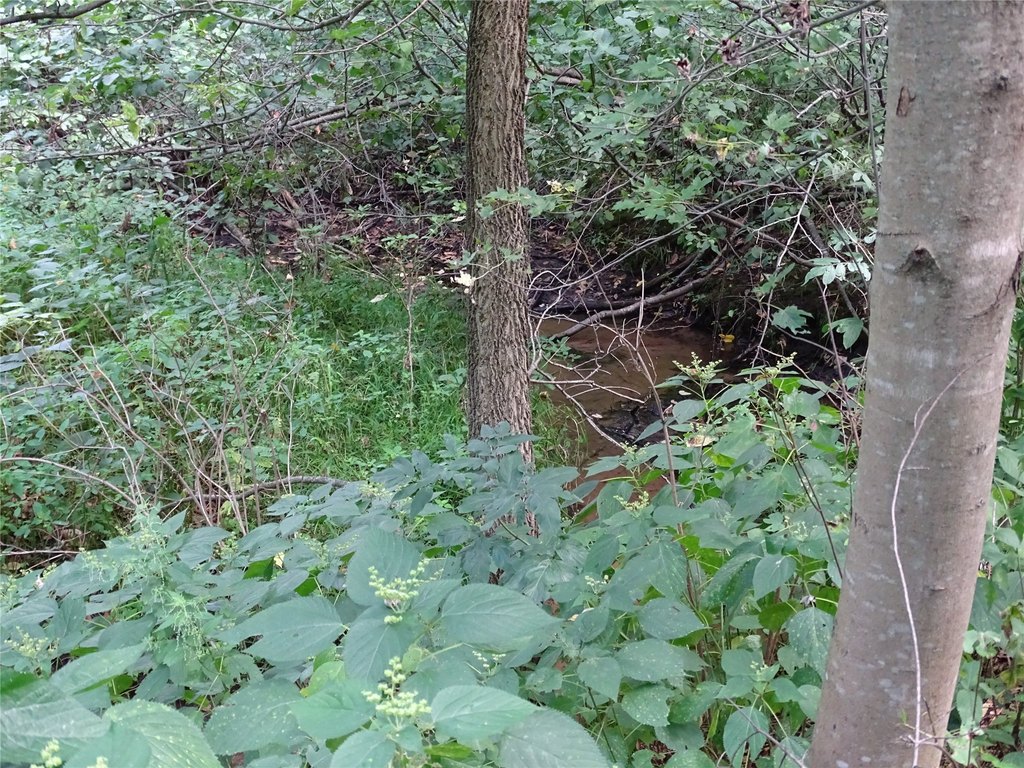 Picture 8