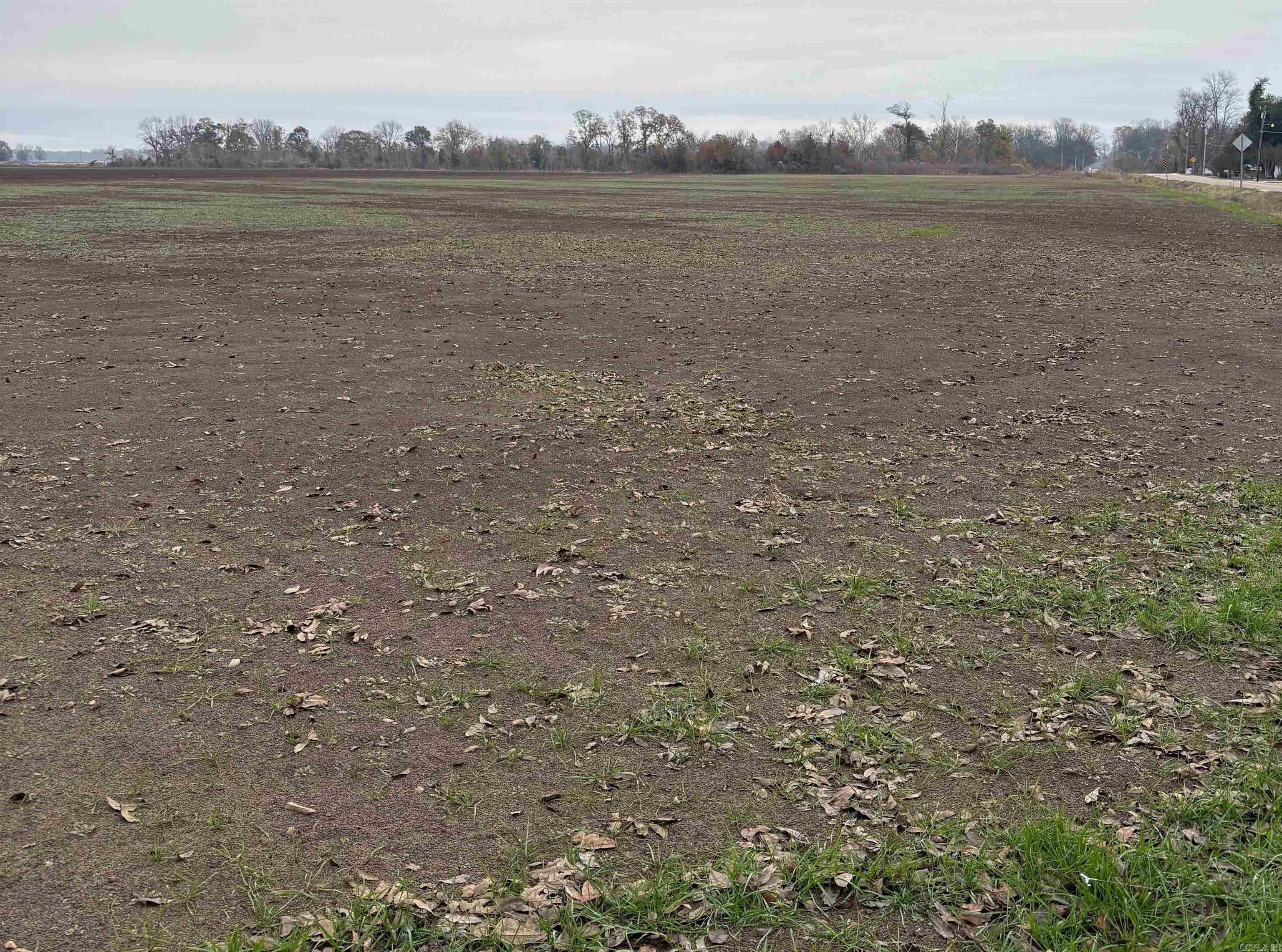 Lake Village Land Opportunity