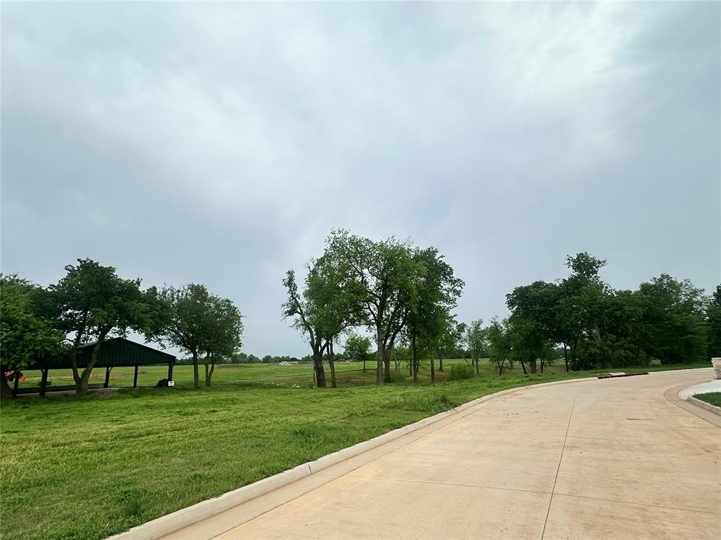 Picture 6