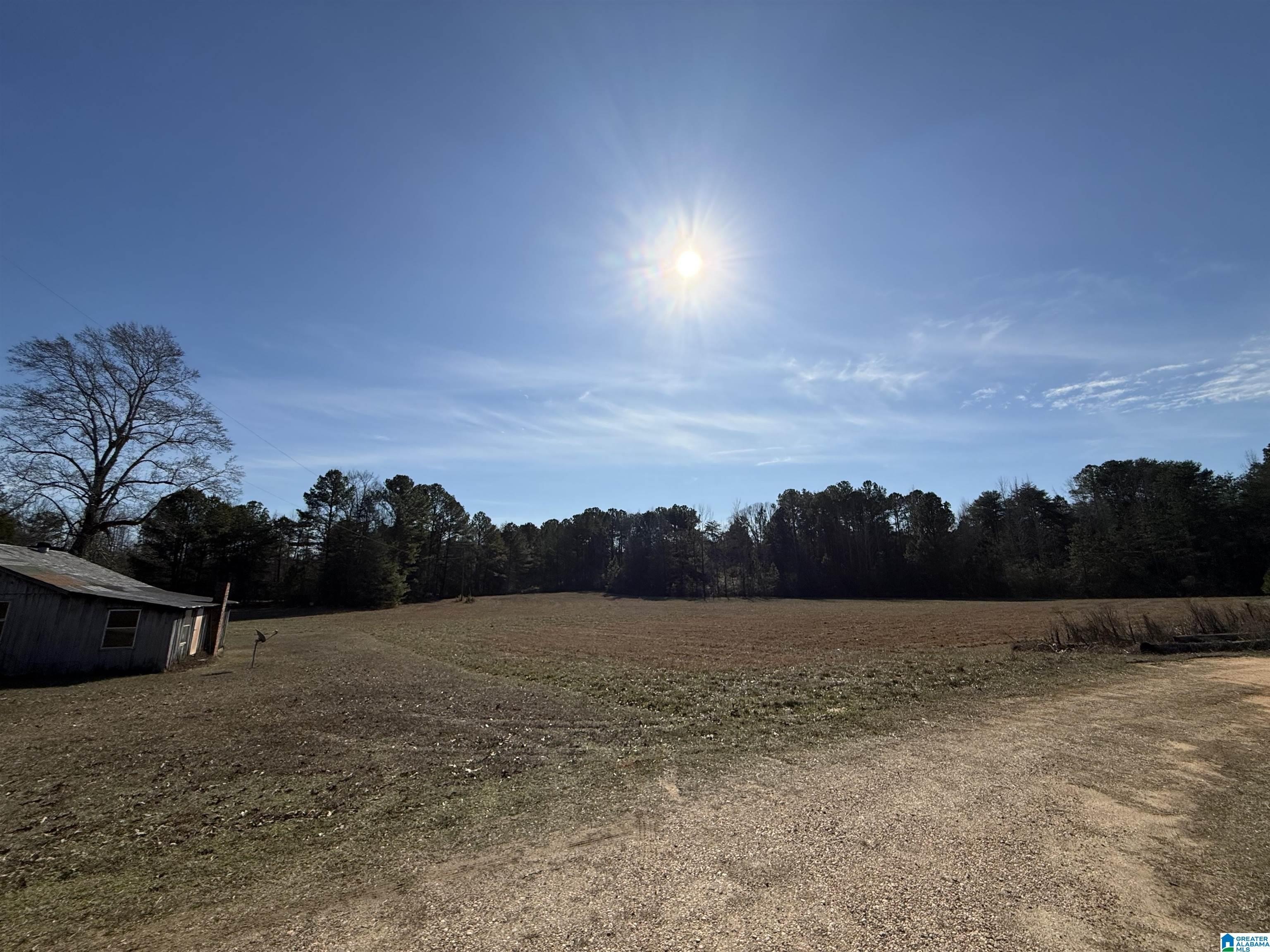 40 Acres with Endless Potential