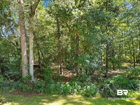 LAND - Foley, AL