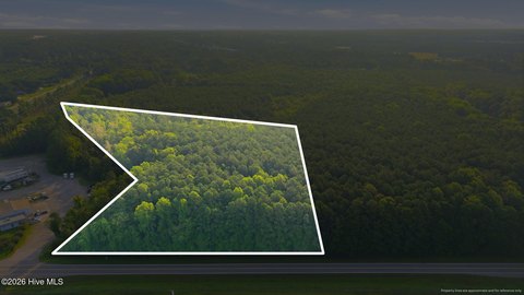 Wooded Commercial Land