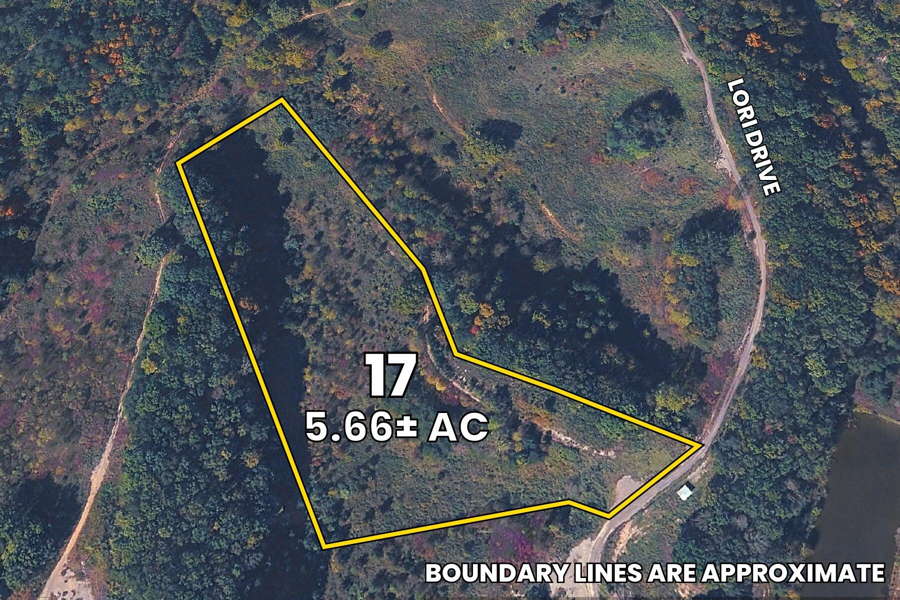 Residential Land in Irvine, KY