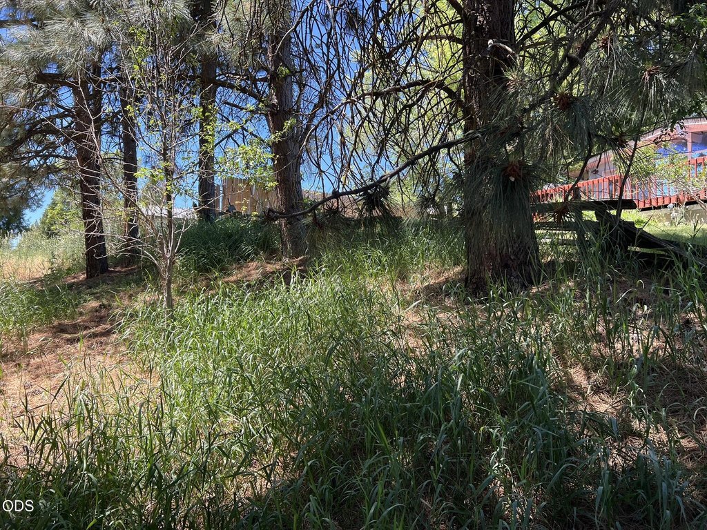 Picture 8