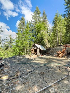 Timbered Mining Land With Gold Mine