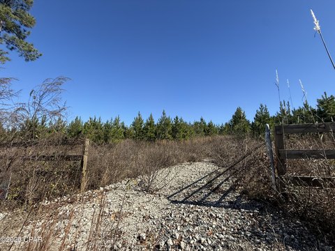 LAND - Marianna, FL