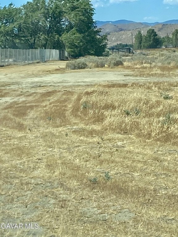 Picture 4