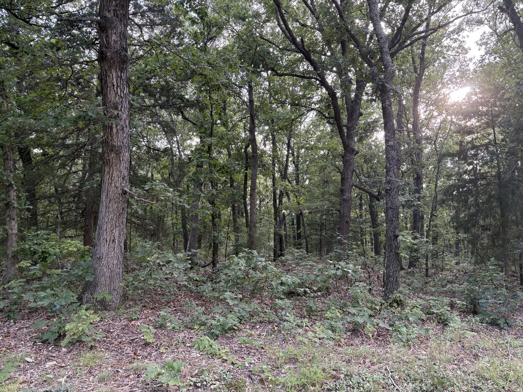 Picture 3