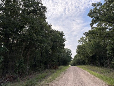 Wooded Hunting and Recreation Land