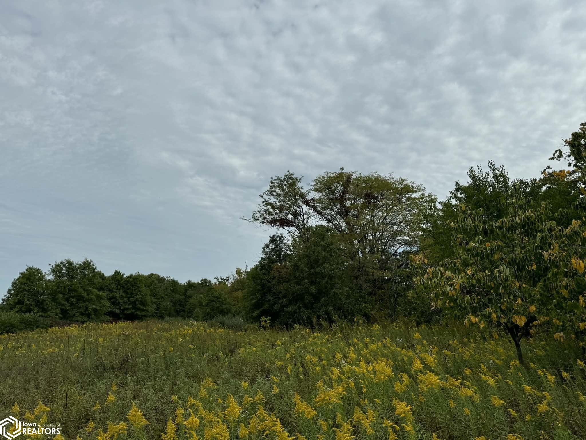 Moulton Iowa Hunting Land