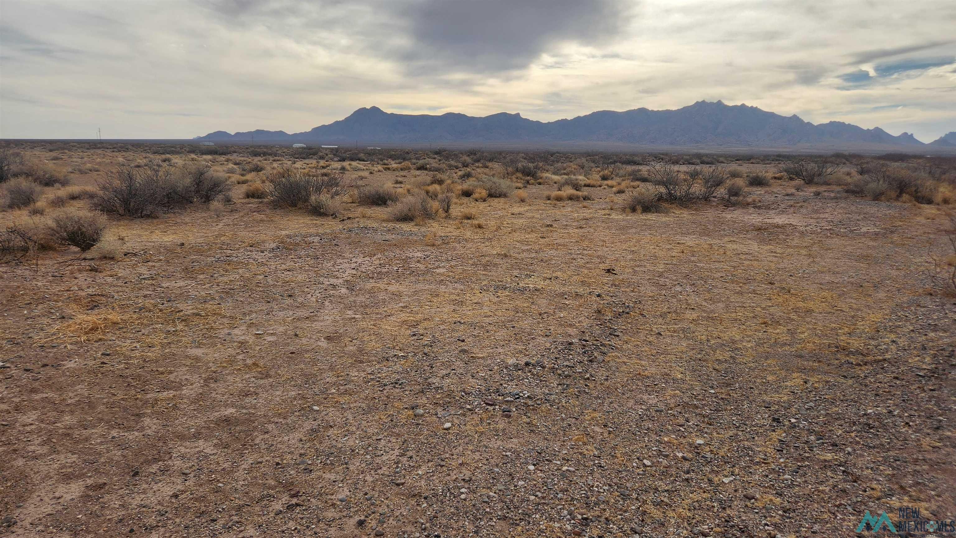 Land in Luna County, NM