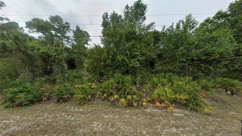 LAND - LEHIGH ACRES, FL