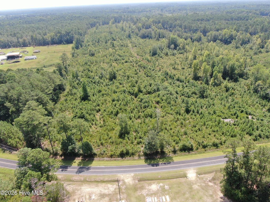 Picture 17