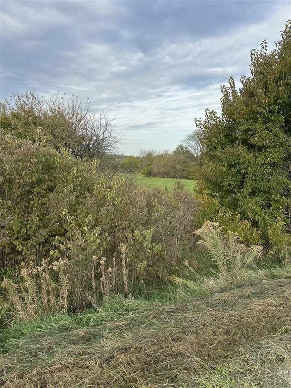 Picture 13