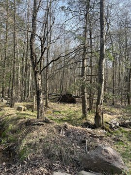 Pocono Lake Land For Sale