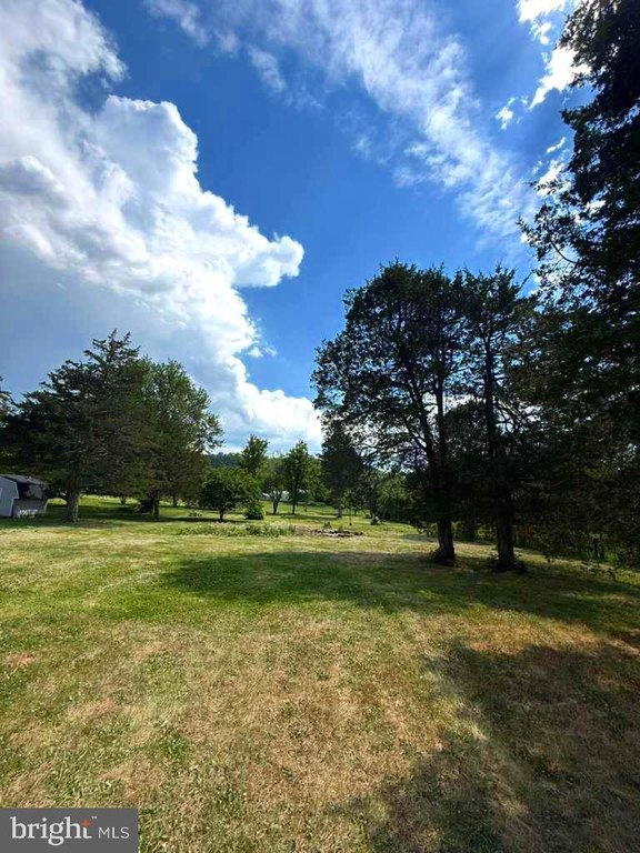 Picture 8