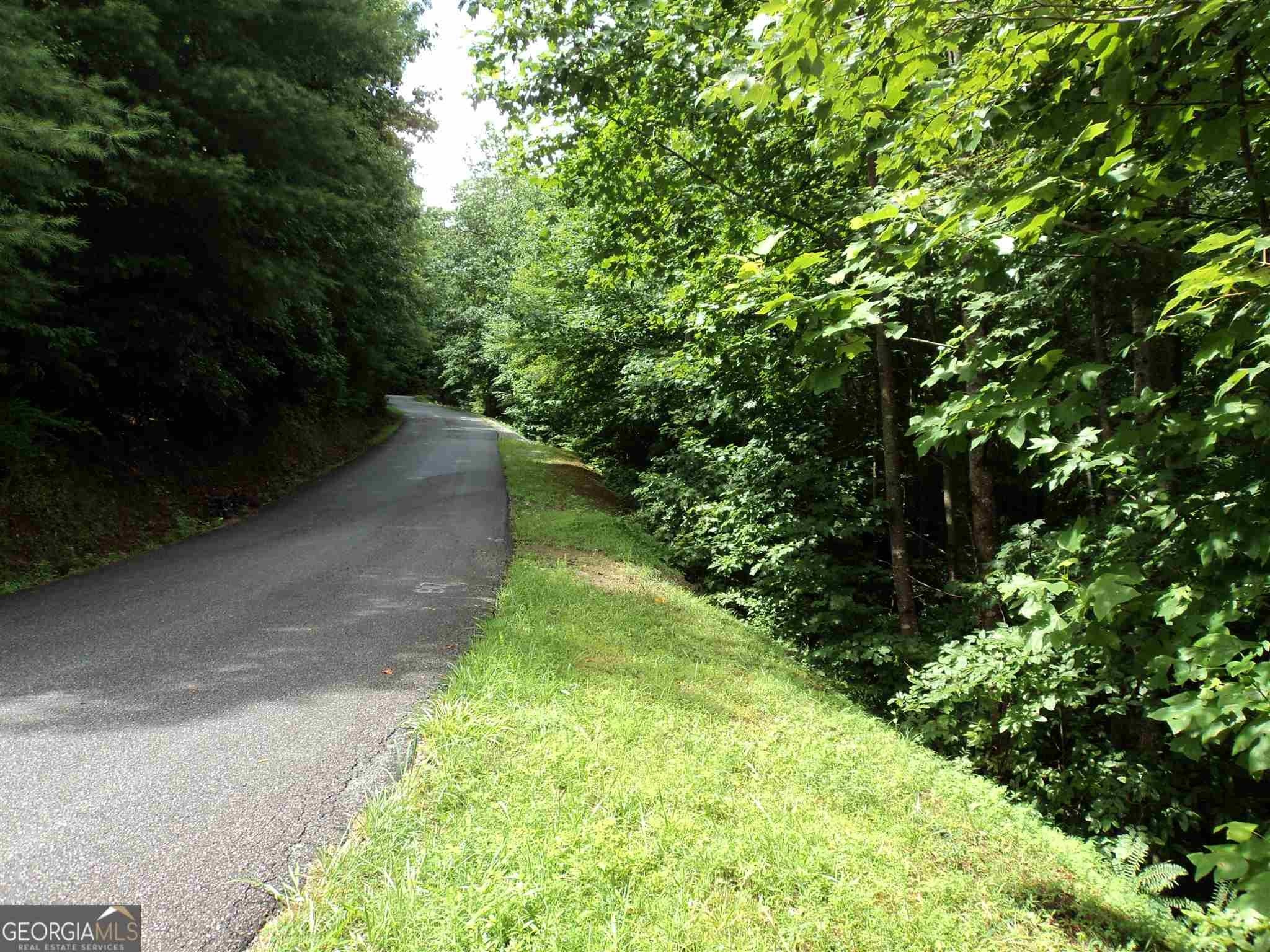 Dillard, GA Wooded Acres
