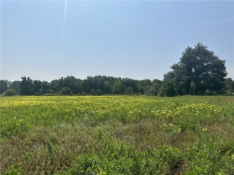 Unimproved Land Near Lake Mexia