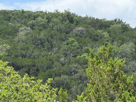 31 Acres Ready for Hunters