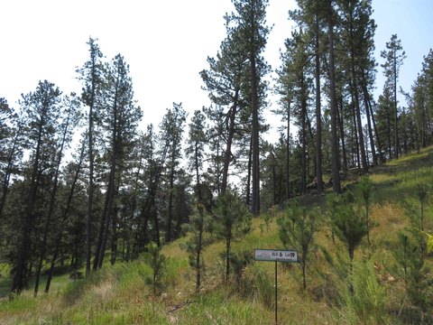 Residential Land Lot Near Hill City