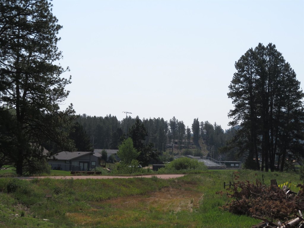 Picture 6