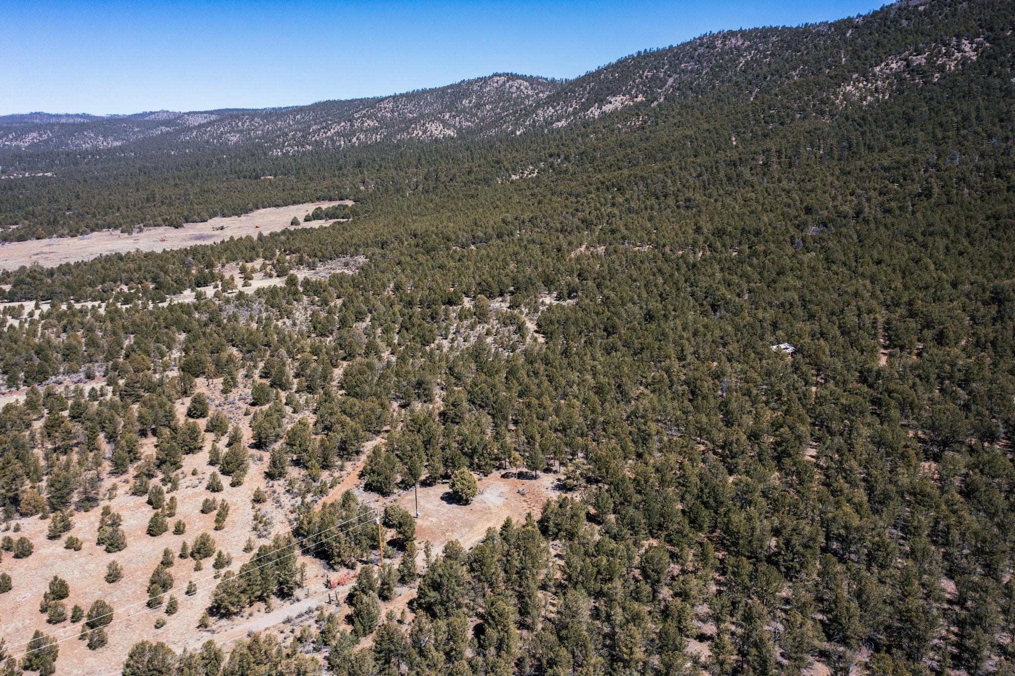 Vallecitos Land Bordering US Forest