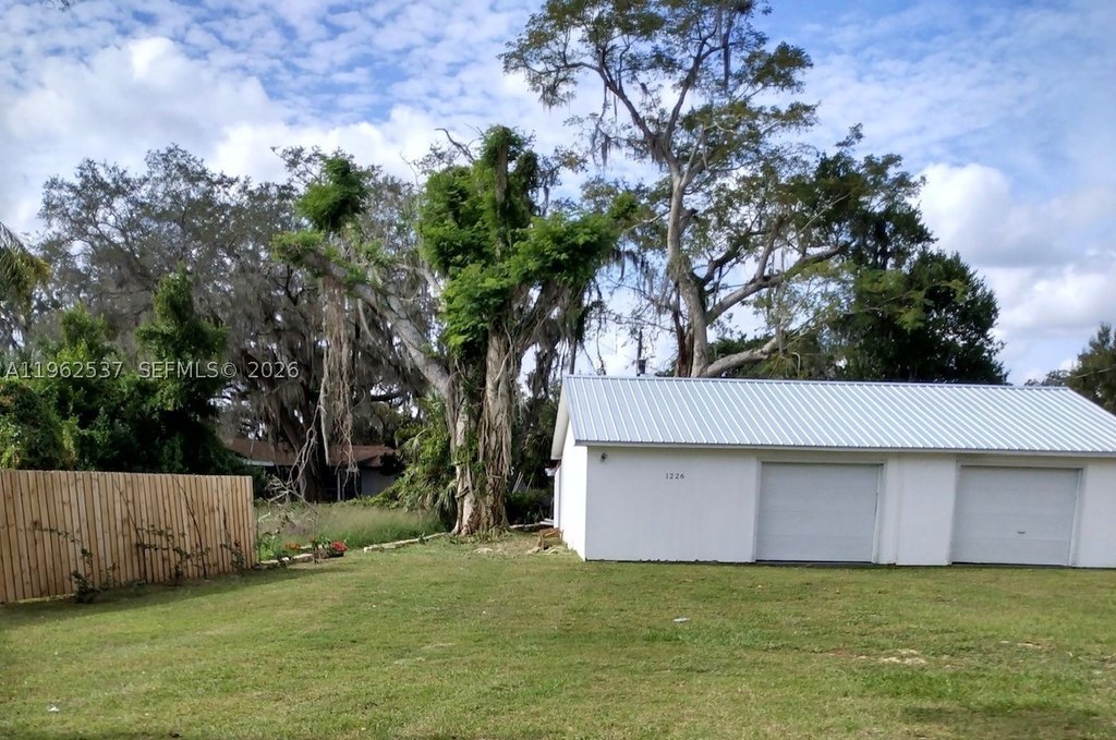 Picture 5